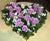 Flower Style Heart Box Roses