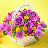 purple and lavander flowers